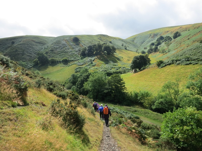 Shropshire Long Mynd walks